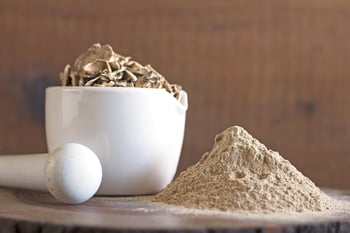 How Food Manufacturers Can Use Mushroom Powder to Boost Product Nutrition